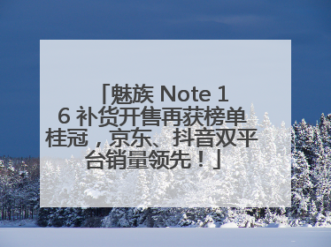 魅族 Note 16 补货开售再获榜单桂冠，京东、抖音双平台销量领先！