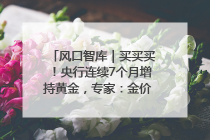 风口智库｜买买买！央行连续7个月增持黄金，专家：金价或仍易涨难跌
