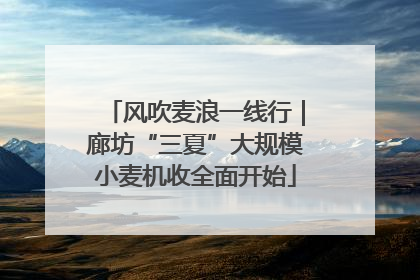 风吹麦浪一线行｜廊坊“三夏”大规模小麦机收全面开始