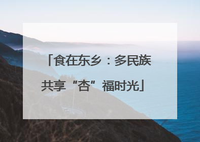 食在东乡：多民族共享“杏”福时光