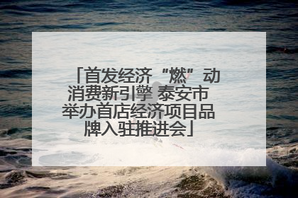 首发经济“燃”动消费新引擎 泰安市举办首店经济项目品牌入驻推进会