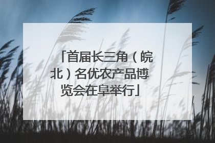 首届长三角（皖北）名优农产品博览会在阜举行