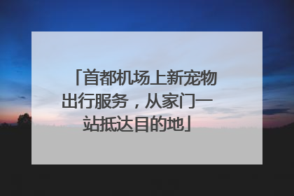 首都机场上新宠物出行服务，从家门一站抵达目的地