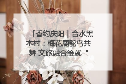 香约庆阳｜合水黑木村：梅花鹿鸵鸟共舞 文旅融合绘就“诗与远方”