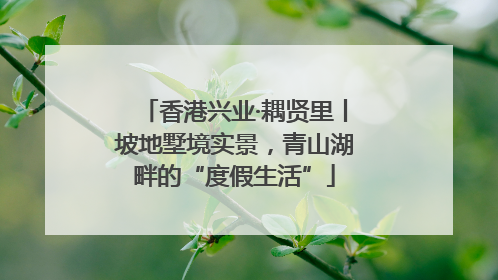 香港兴业·耦贤里丨坡地墅境实景，青山湖畔的“度假生活”