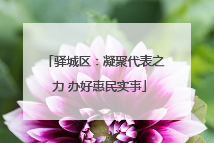 驿城区：凝聚代表之力 办好惠民实事