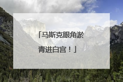 马斯克眼角淤青进白宫！