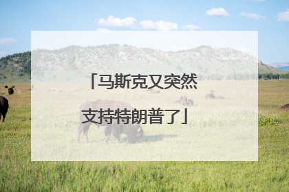 马斯克又突然支持特朗普了