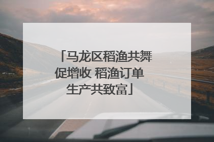 马龙区稻渔共舞促增收 稻渔订单生产共致富