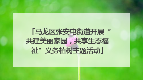 马龙区张安屯街道开展“共建美丽家园，共享生态福祉”义务植树主题活动