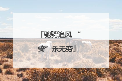 驰骋追风 “骑”乐无穷