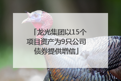 龙光集团以15个项目资产为9只公司债券提供增信
