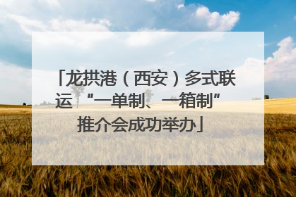 龙拱港（西安）多式联运 “一单制、一箱制” 推介会成功举办