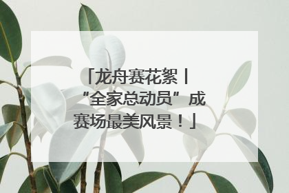 龙舟赛花絮丨 “全家总动员”成赛场最美风景！