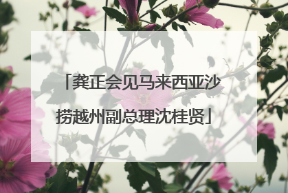 龚正会见马来西亚沙捞越州副总理沈桂贤