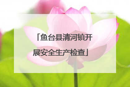 鱼台县清河镇开展安全生产检查