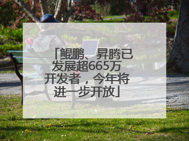 鲲鹏、昇腾已发展超665万开发者，今年将进一步开放