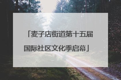 麦子店街道第十五届国际社区文化季启幕