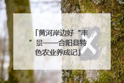 黄河岸边好“丰”景——合阳县特色农业养成记