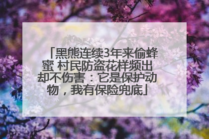 黑熊连续3年来偷蜂蜜 村民防盗花样频出却不伤害：它是保护动物，我有保险兜底