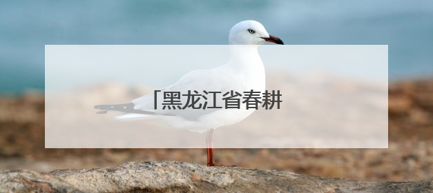 黑龙江省春耕生产基本结束