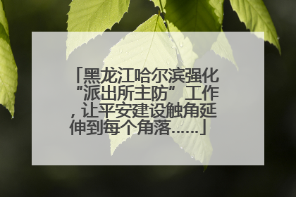 黑龙江哈尔滨强化“派出所主防”工作，让平安建设触角延伸到每个角落……
