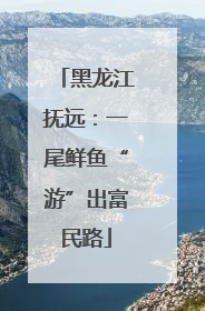 黑龙江抚远：一尾鲜鱼“游”出富民路