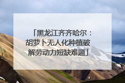 黑龙江齐齐哈尔：胡萝卜无人化种植破解劳动力短缺难题