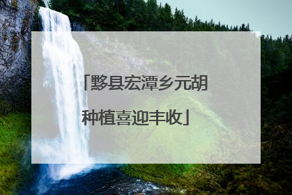 黟县宏潭乡元胡种植喜迎丰收