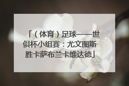 （体育）足球——世俱杯小组赛：尤文图斯胜卡萨布兰卡维达德