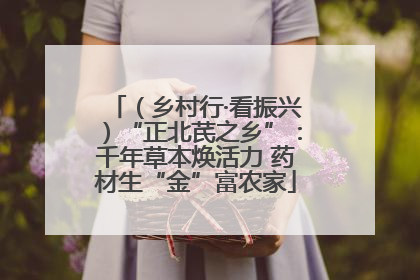 （乡村行·看振兴）“正北芪之乡”：千年草本焕活力 药材生“金”富农家