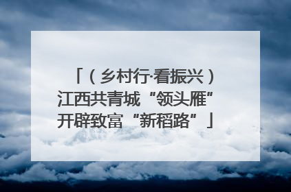 （乡村行·看振兴）江西共青城“领头雁”开辟致富“新稻路”