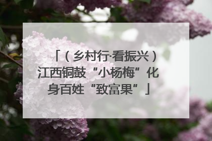（乡村行·看振兴）江西铜鼓“小杨梅”化身百姓“致富果”