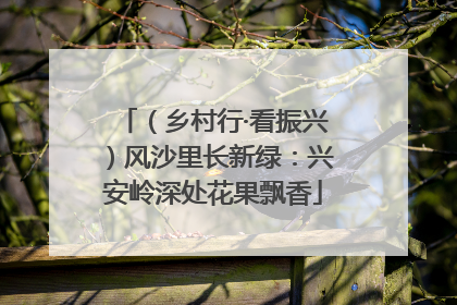 （乡村行·看振兴）风沙里长新绿：兴安岭深处花果飘香