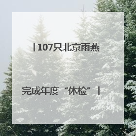 107只北京雨燕完成年度“体检”