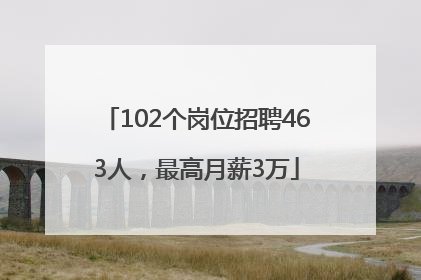 102个岗位招聘463人，最高月薪3万