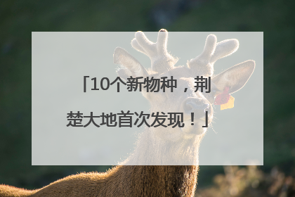 10个新物种，荆楚大地首次发现！
