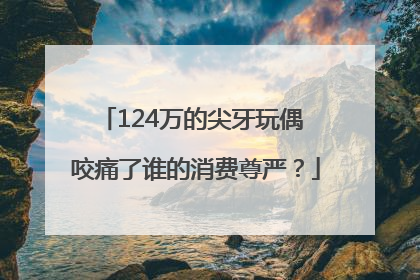 124万的尖牙玩偶 咬痛了谁的消费尊严？