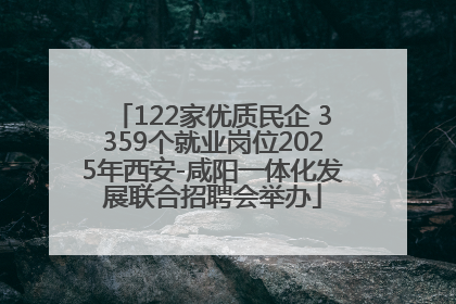 122家优质民企 3359个就业岗位2025年西安-咸阳一体化发展联合招聘会举办
