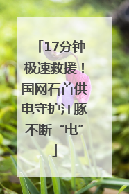 17分钟极速救援！国网石首供电守护江豚不断“电”