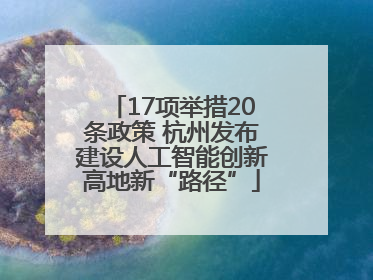 17项举措20条政策 杭州发布建设人工智能创新高地新“路径”