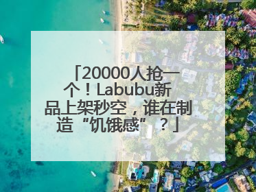 20000人抢一个！Labubu新品上架秒空，谁在制造“饥饿感”？
