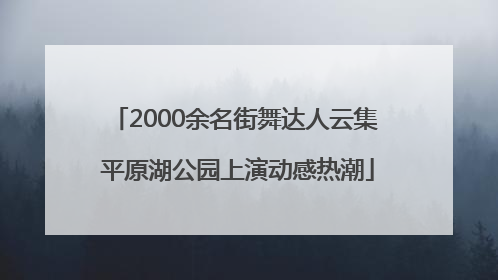 2000余名街舞达人云集 平原湖公园上演动感热潮