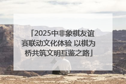 2025中非象棋友谊赛联动文化体验 以棋为桥共筑文明互鉴之路
