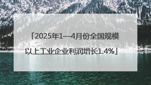 2025年1—4月份全国规模以上工业企业利润增长1.4%