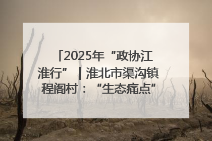 2025年“政协江淮行”｜淮北市渠沟镇程阁村：“生态痛点”变“生态景观”