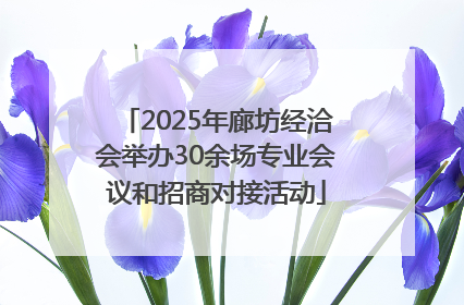 2025年廊坊经洽会举办30余场专业会议和招商对接活动
