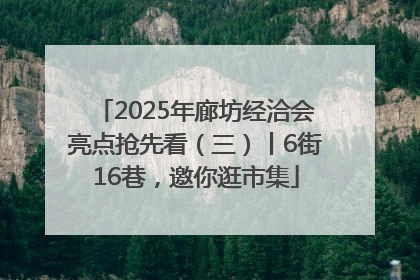 2025年廊坊经洽会亮点抢先看（三）丨6街16巷，邀你逛市集