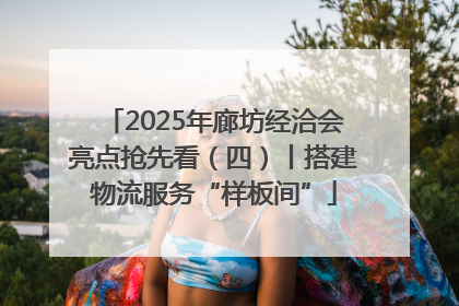 2025年廊坊经洽会亮点抢先看（四）丨搭建物流服务“样板间”