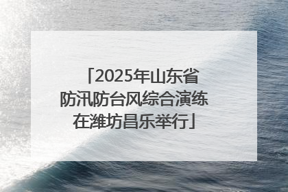 2025年山东省防汛防台风综合演练在潍坊昌乐举行